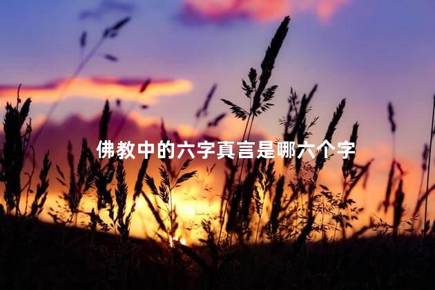 佛教中的六字真言是哪六个字