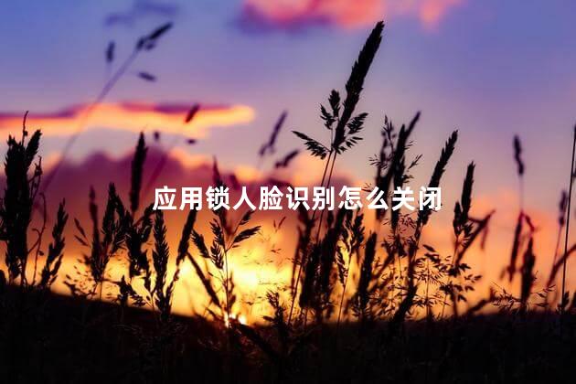 应用锁人脸识别怎么关闭