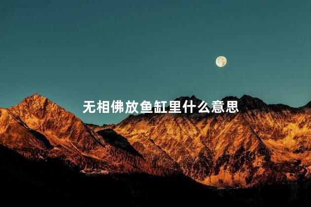 无相佛放鱼缸里什么意思