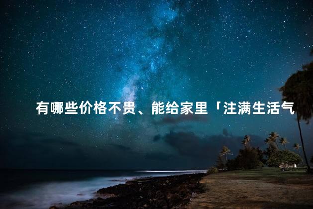 有哪些价格不贵、能给家里「注满生活气息」的小家电推荐